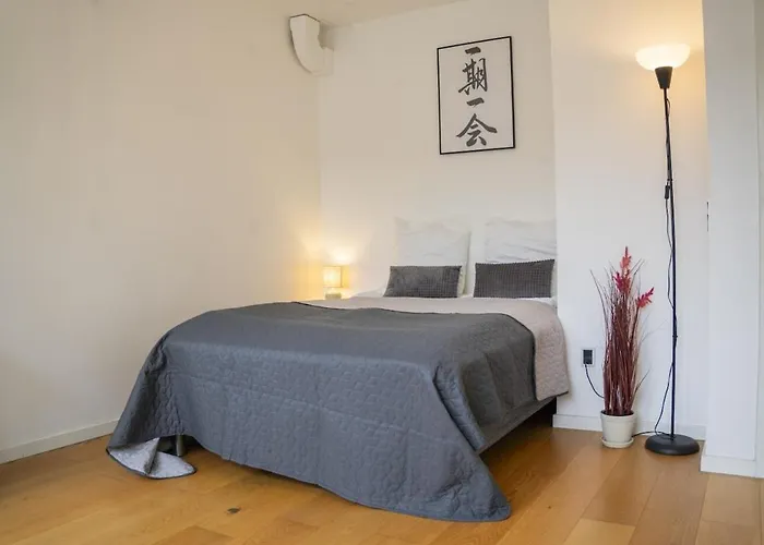 Private Room In Spacious Copenhagen-Based Apartment
